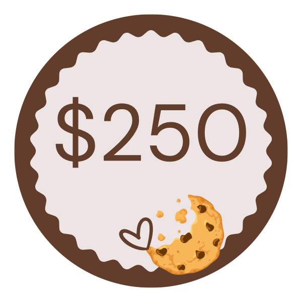 $250 Fundraiser Donation